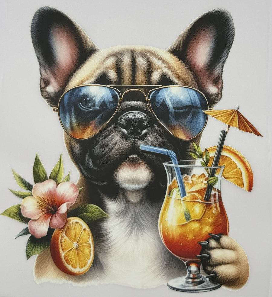 DTF - Hunde