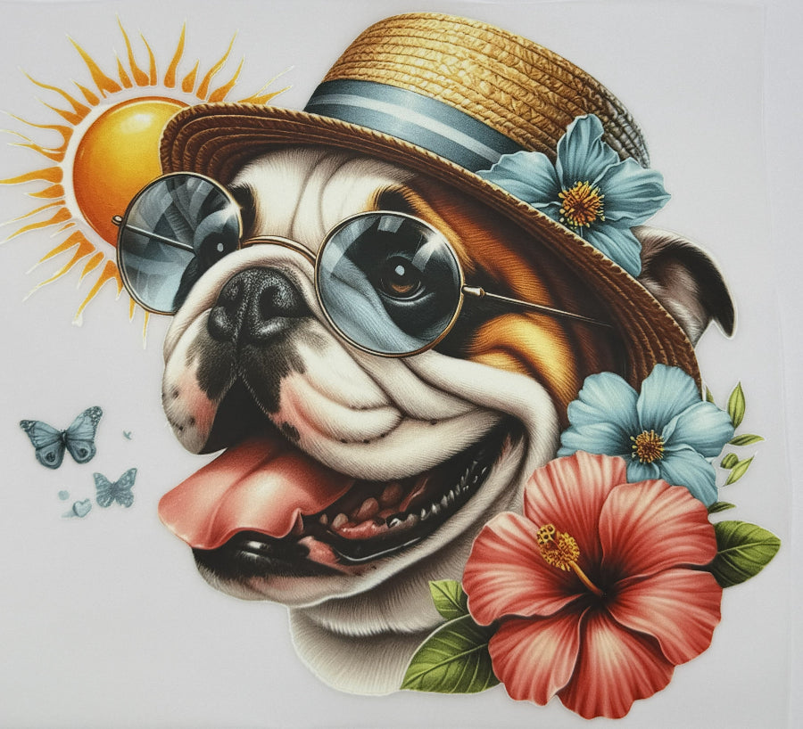 DTF - Hunde