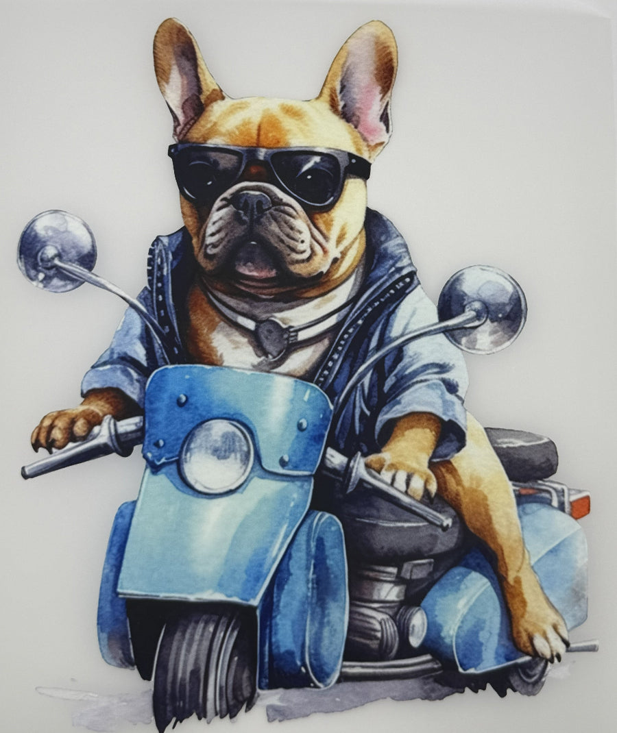DTF - Hunde