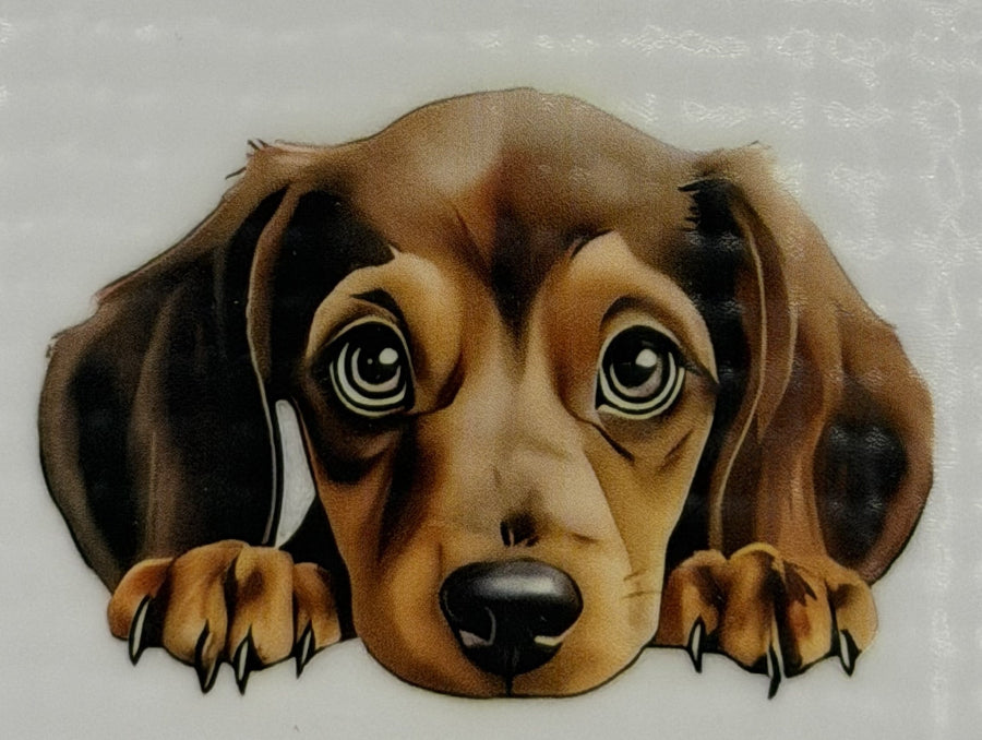 DTF - Hunde schlicht