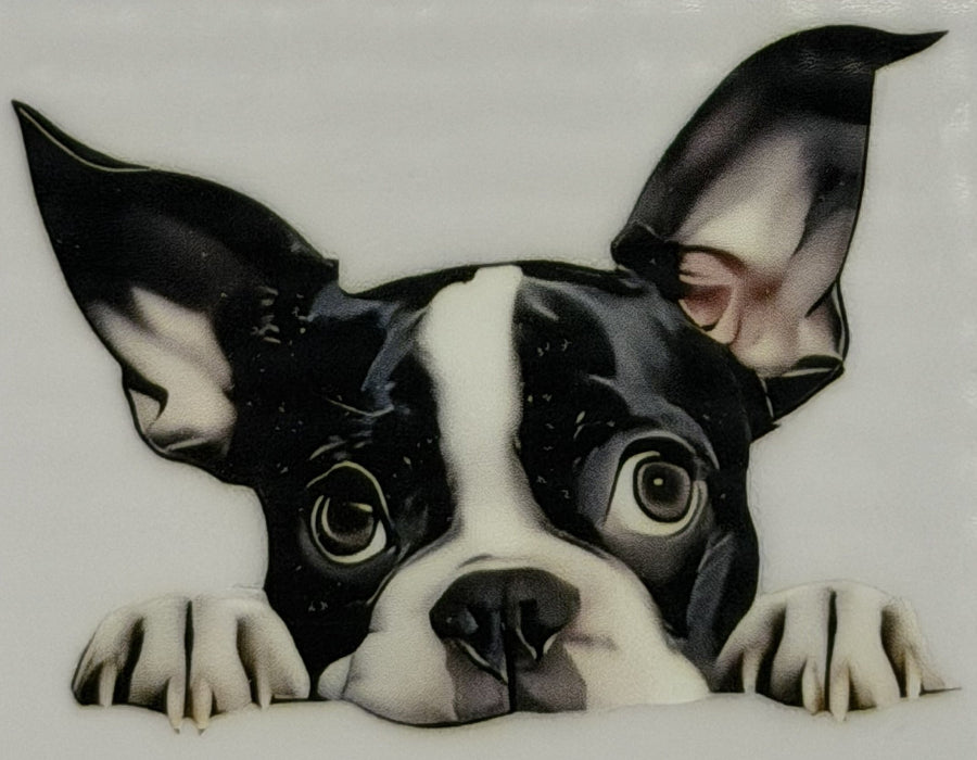 DTF - Hunde schlicht
