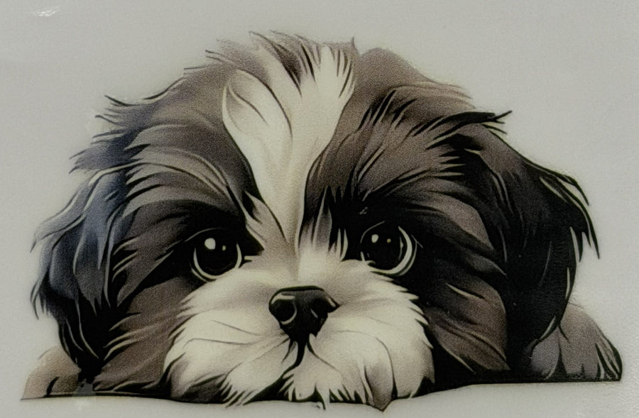 DTF - Hunde schlicht