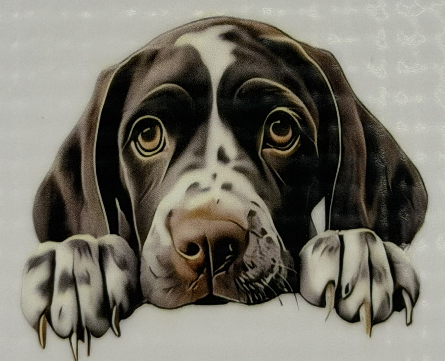 DTF - Hunde schlicht