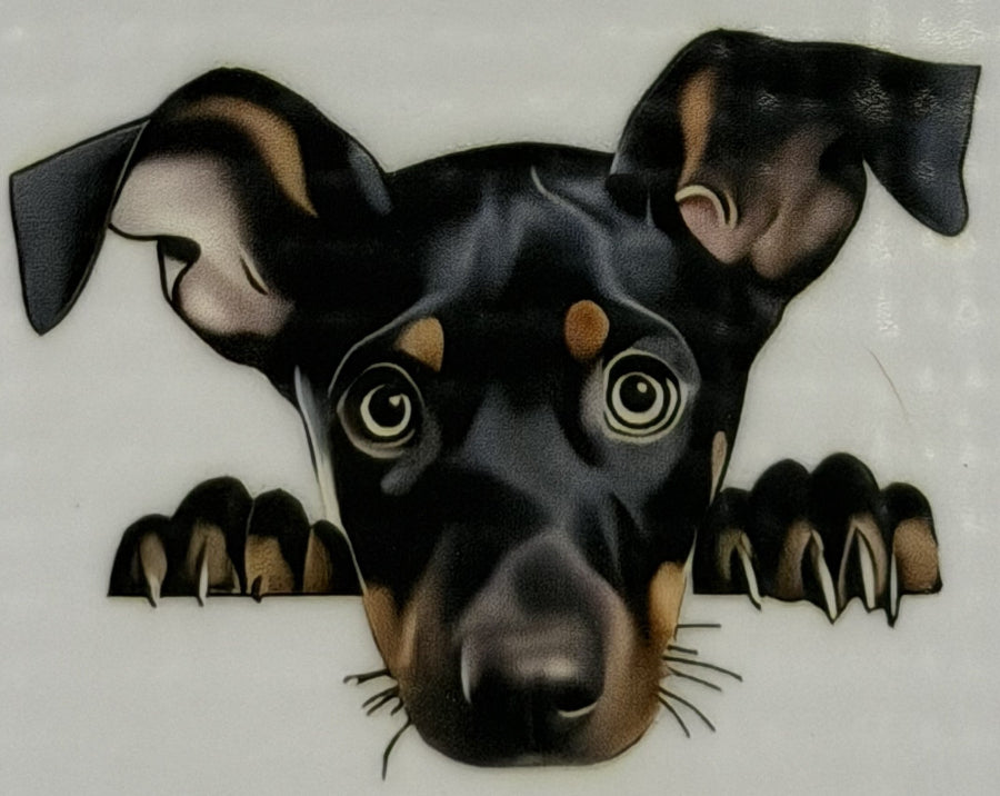 DTF - Hunde schlicht