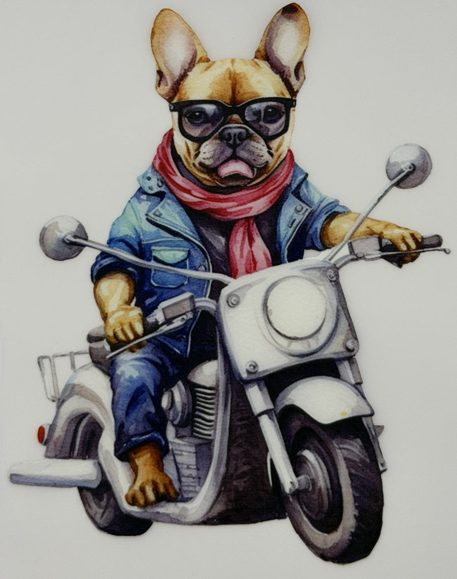 DTF - Hunde